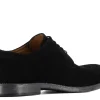 Hombre Casas Collection Bluchers^Bluchers Trento