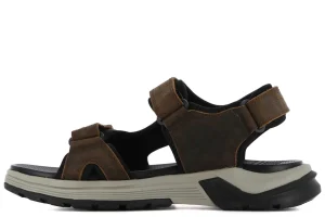 Hombre Eleven Sandalias^Sandalias Maui