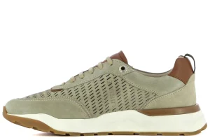 Hombre Lottusse Zapatillas^Zapatillas Osaka