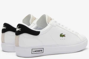 Hombre Lacoste Zapatillas^Zapatillas Powercourt